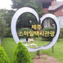 제주스마일택시관광 이미지