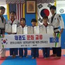 드래곤태권도 이미지