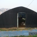 인영농장 이미지