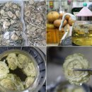 보양건강원 이미지