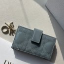 아코디언 | DIOR 디올 아코디언 카드지갑 후기