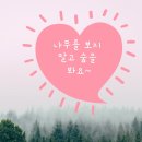 효창동 작은도서관 이미지