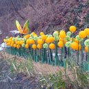 봉무공원 테니스장 이미지