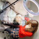 에이엘샵