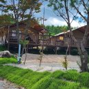 봉포레이크글램핑&오토캠핑장 이미지