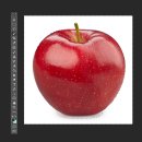 누구나 할 수 있는 포토샵 이미지