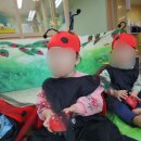 그레미움어린이집 이미지