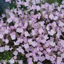 성재농장 이미지