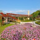 대청호 자연수변공원 이미지