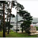 뿌리광장 이미지