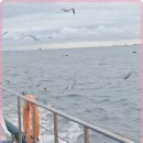 현대낚시 이미지