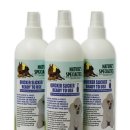 예스동물병원 이미지