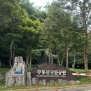 증심사길 | 광주 무등산 백숙 맛집 부곡정 한방백숙, 닭볶음탕 후기