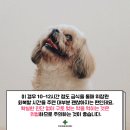 가평동물병원 이미지