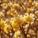 (주) 연안약품 이미지