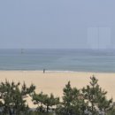 삼척해수욕장B 이미지