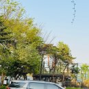 크린셀프세차장 | 서울출장세차 인천출장세차 가능한 크린출장세차, 카니발 관리도 편리하게!!