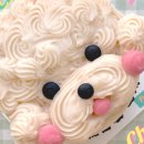 펫스튜리(petschurri) 이미지