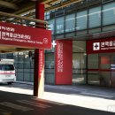 분당-243 이미지