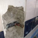 군포양정초교 이미지