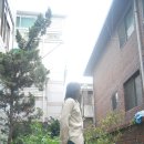 [[웨스턴셔츠]]Marland 셔츠, Temtex 셔츠, Pardners 셔츠, Sportswear 셔츠, Antiballistic 셔츠 이미지