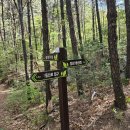 화왕산산림욕장 이미지