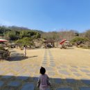 태인 애견 이미지