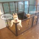 대림미용타운