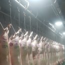 참 글로벌 이미지