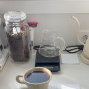 비로소 봄 이미지