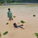 희망공동체 하정 이미지