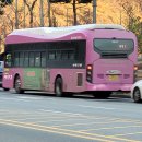 [세종특별자치시]세종교통 991번 5563호 에디슨모터스 화이버드 저상버스 CNG 2019년식 이미지