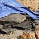 마들근린공원 이미지