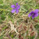 제주 방선문 이미지