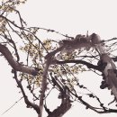 김명자