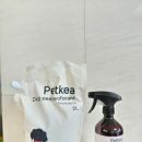 펫케아 | 솔향가득편백수 펫케아 강아지 탈취제 리뷰 천연 피톤치드 향으로 집안 공기까지 바꿔주는 반려동물용...