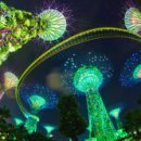 센스여행사(주) 이미지