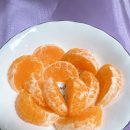 예찬농장 | 제주 예찬농원 천혜향 1kg, 당도 높은 선물용 천혜향