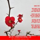 제15회 명자꽃 잔치 - 용인일보 보도 기사 이미지