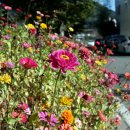 하동군청 이미지