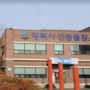 안중 이미지