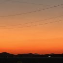 안동강노을 | 안동 하회마을 유네스코 물길 코스 다운리버