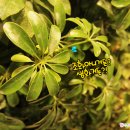 퓨어 인터넷카페 이미지