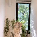 명문 힐링센터 이미지