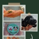 멍멍이 다과점 이미지