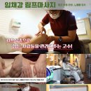 임채강림프드레나쥐 이미지