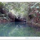 어리염소 이미지