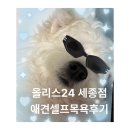 올리스 24 | 24시 애견셀프목욕 올리스24 세종점 리뷰