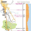 삐노(PINO) 이미지