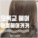 오목교역미용실 이철헤어커커 목동홈플러스점 손상모 탈출 베지터블클리닉 by 현희팀장님